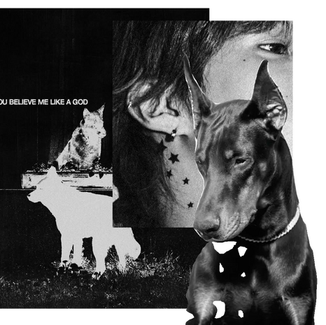 Untitled Untitled